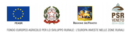 PSR beneficiari