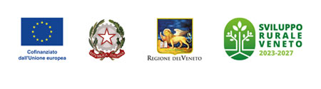 PSR beneficiari